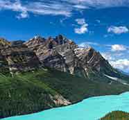 短信狂轰滥炸软件